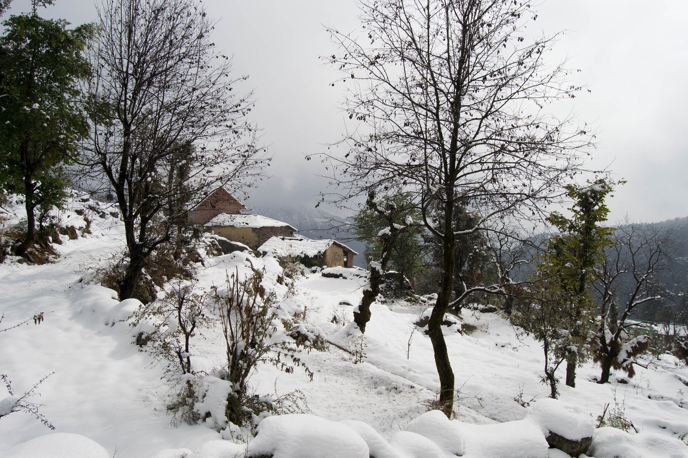 Dharamshala in Winters