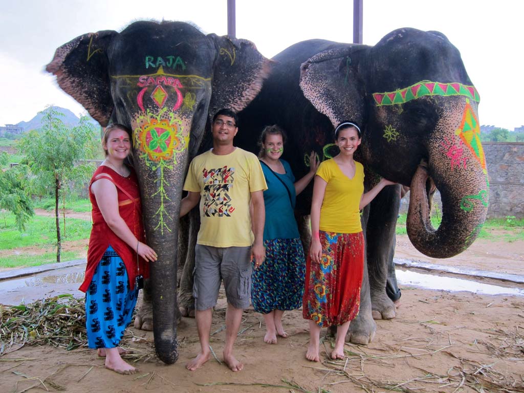 Elephant Painting in Jaipur