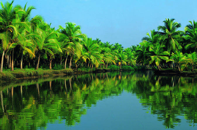 Things to do in Alleppey