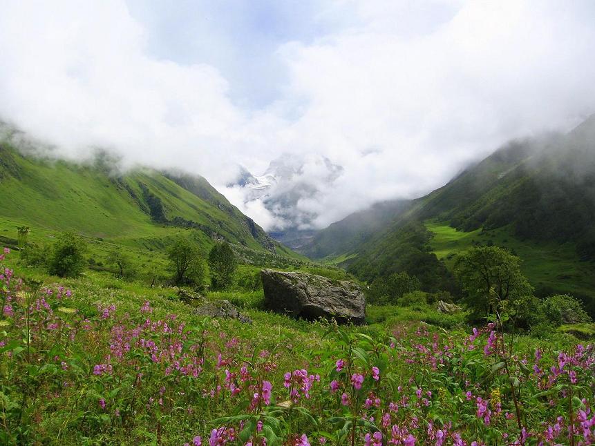 Valley of Flowers Uttarakhand in Monsoon