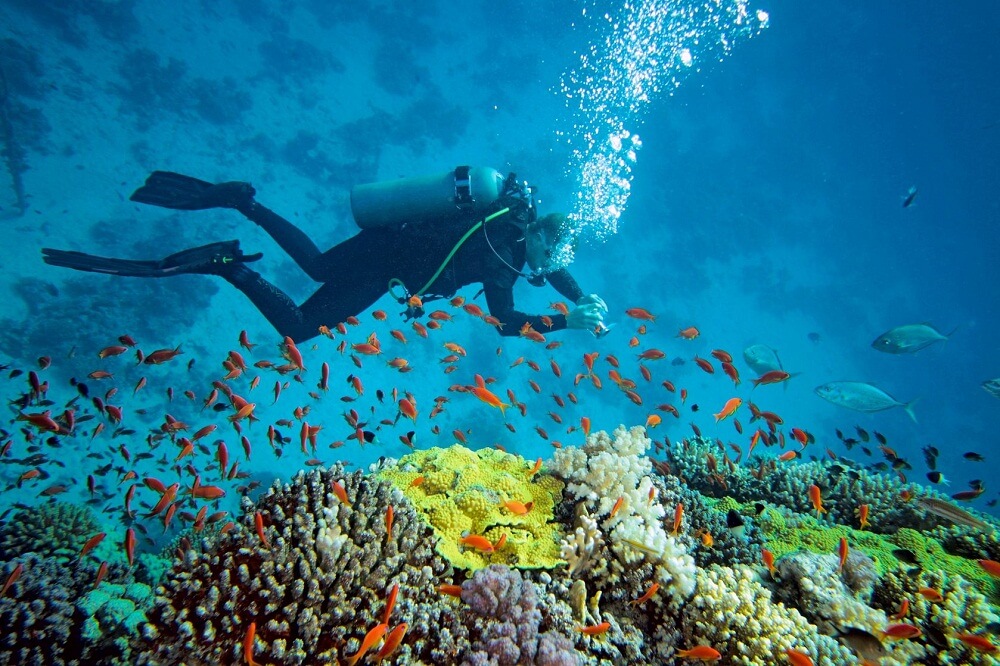Scuba Diving Andaman