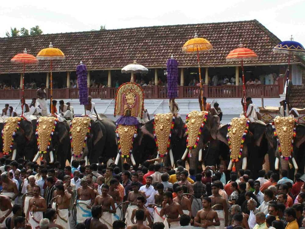 Parippally Gajamela Kerala