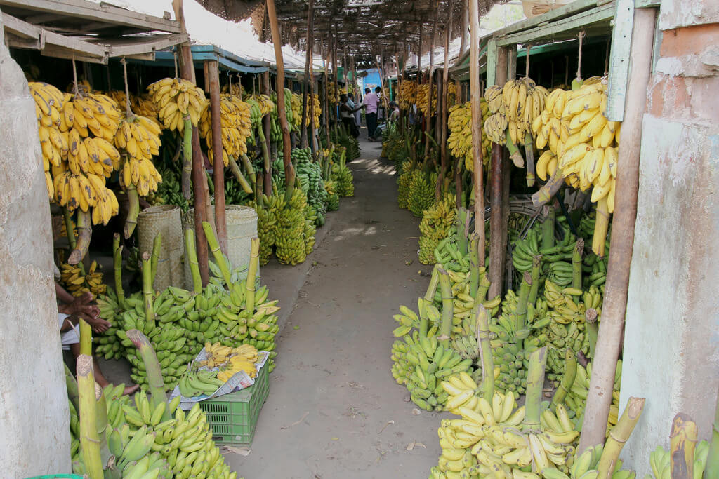 Banana Market Madurai
