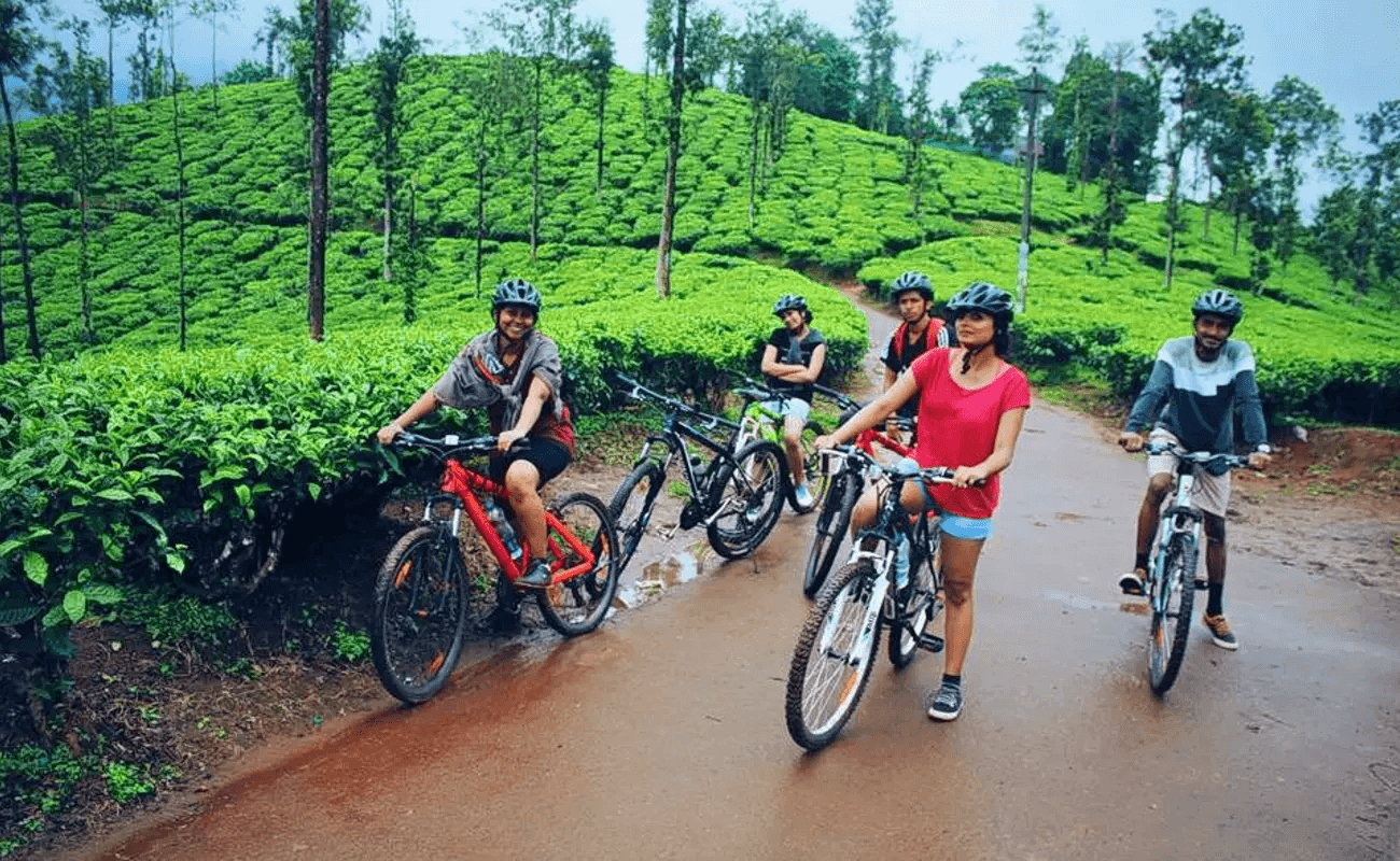 Cycling Tea Gardens of Nilgiri, Wayanad