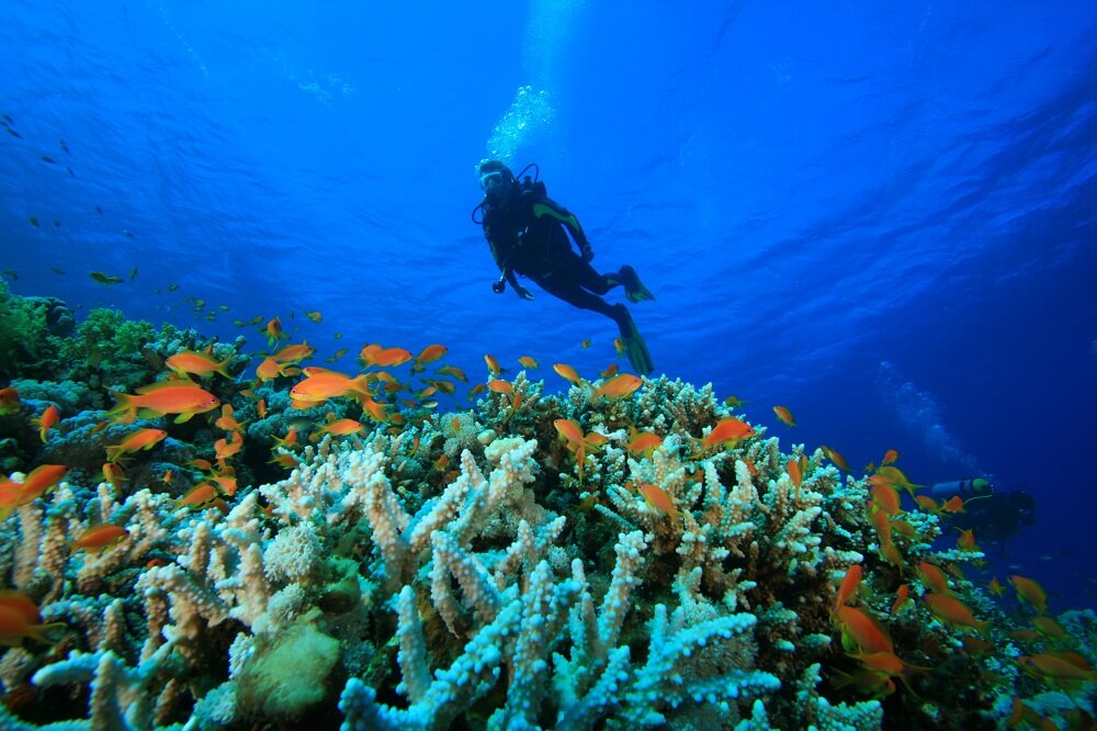 Lakshadweep Sea Diving