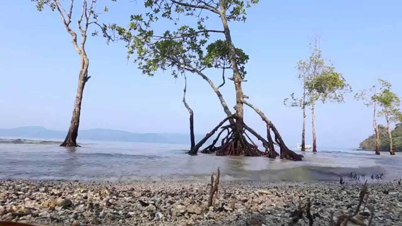 Chidiya Tapu Beach, Andaman