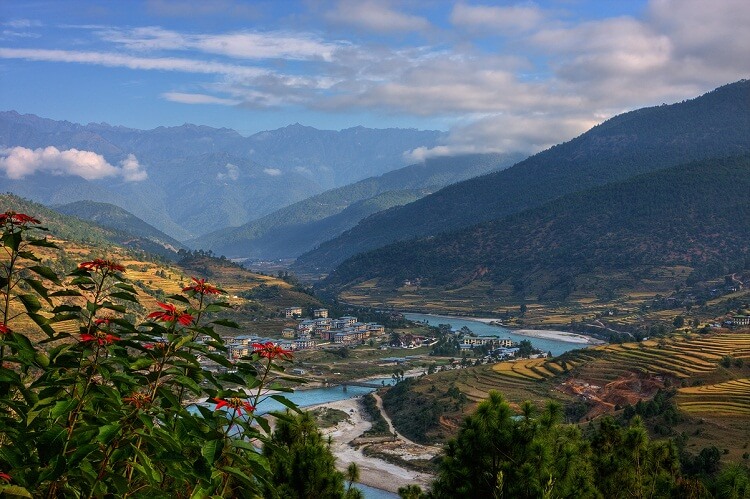 Bhutan View