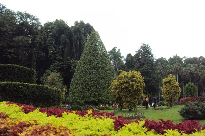 Botanical Garden, Yercaud