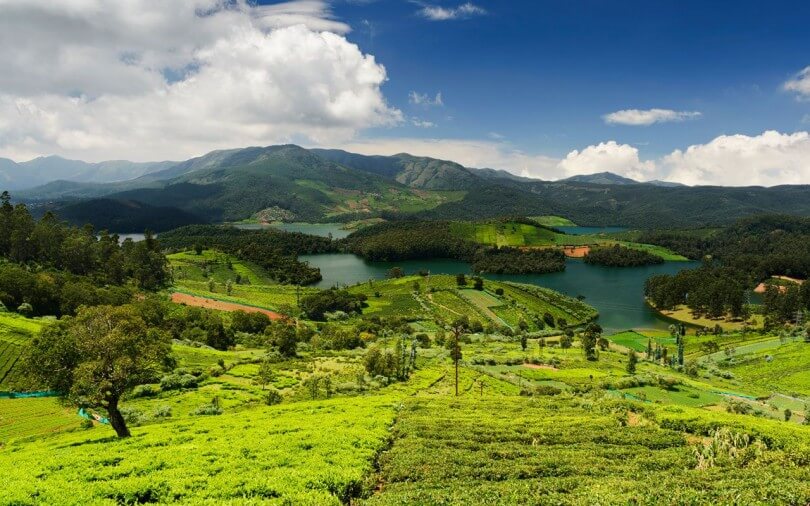 Best time to visit Ooty