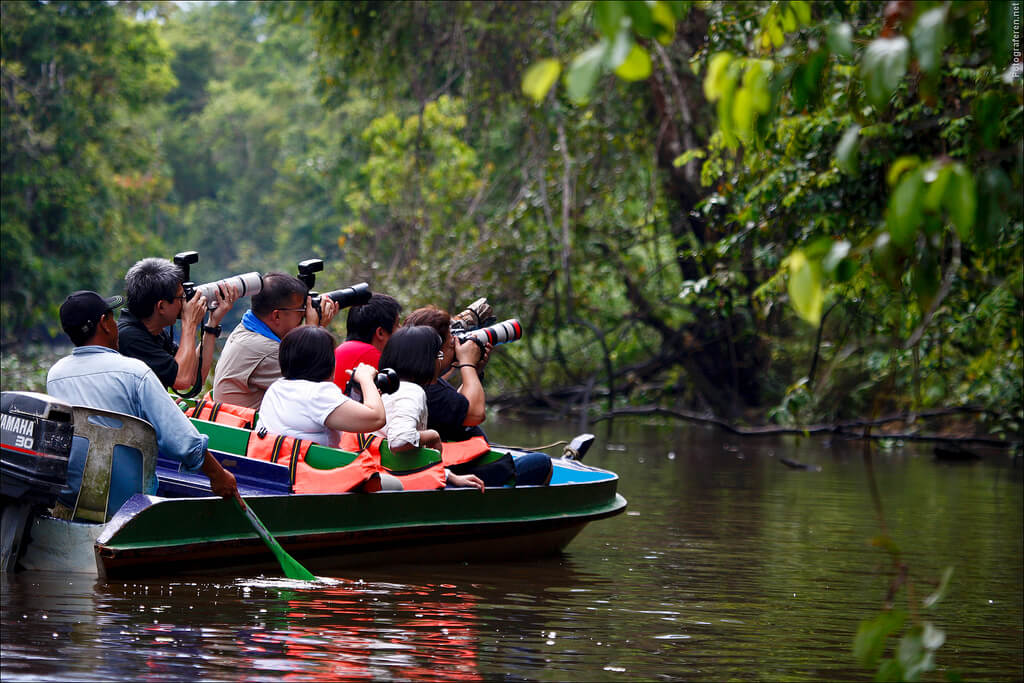 Borneo River Tour Boat