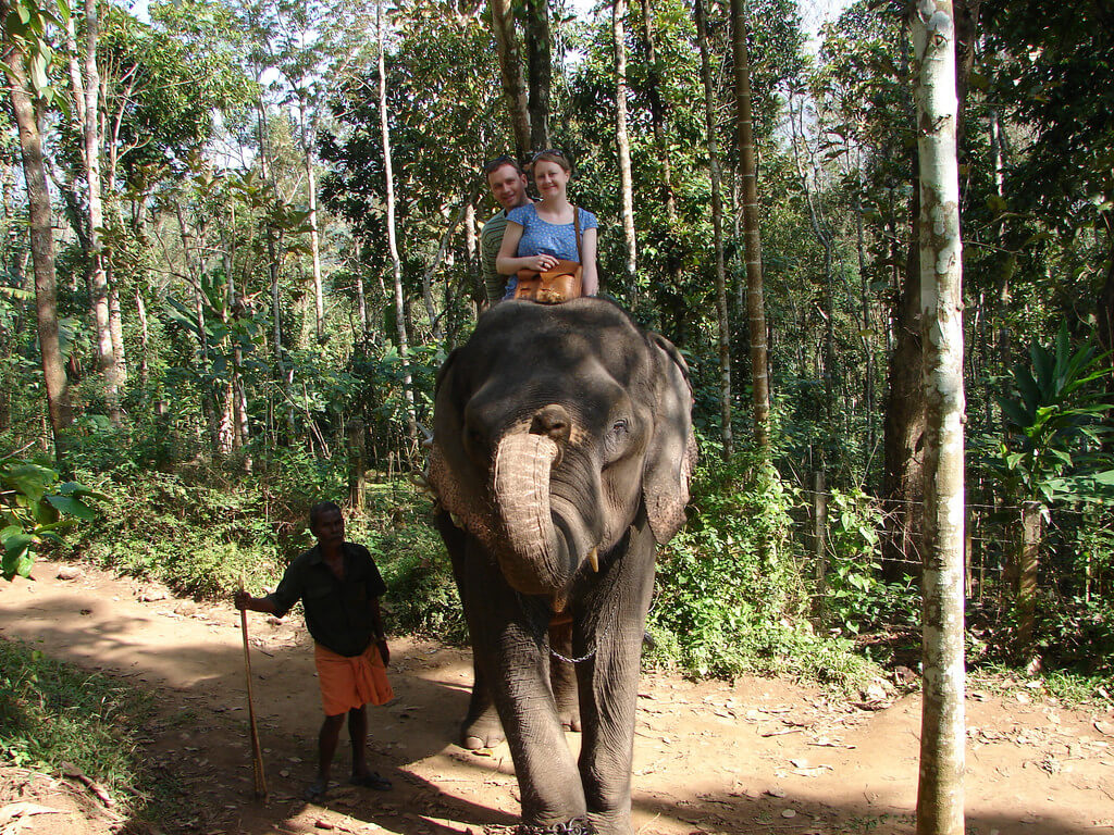 Romantic Elephant Ride Murikkady, Thekkady Kerala