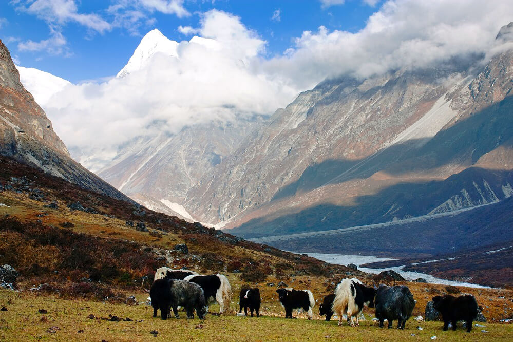 Langtang National Park, Nepal