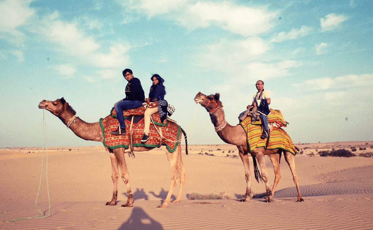 Camel Safari, Pushkar