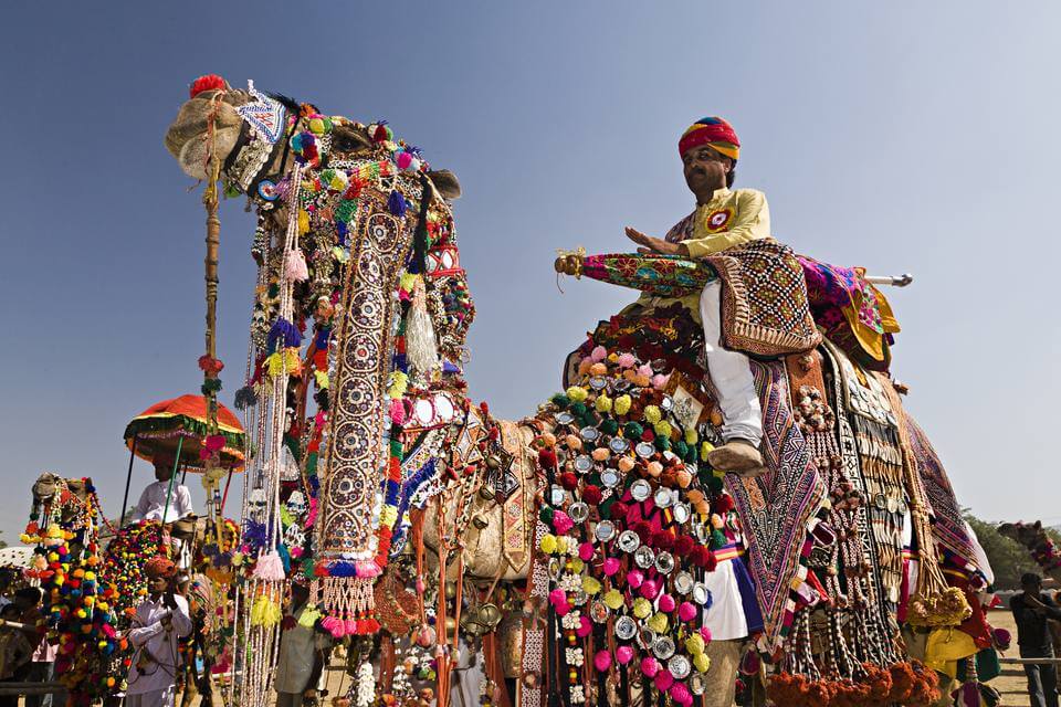 Decorated Camel at Pushkar Camel Fair