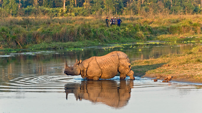 Nepal Wildlife