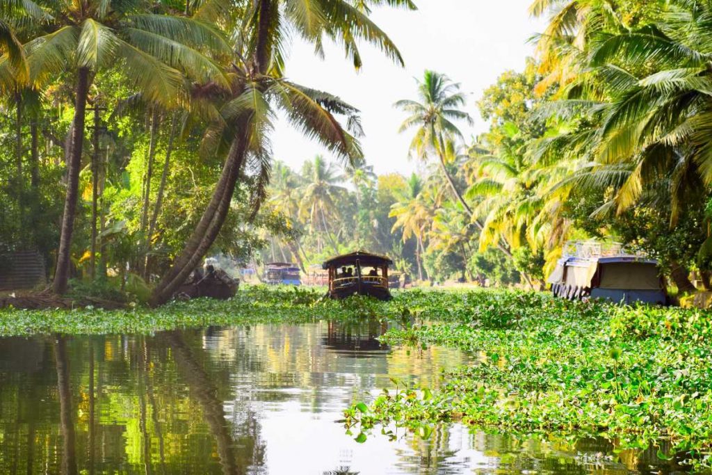 Alleppey in February