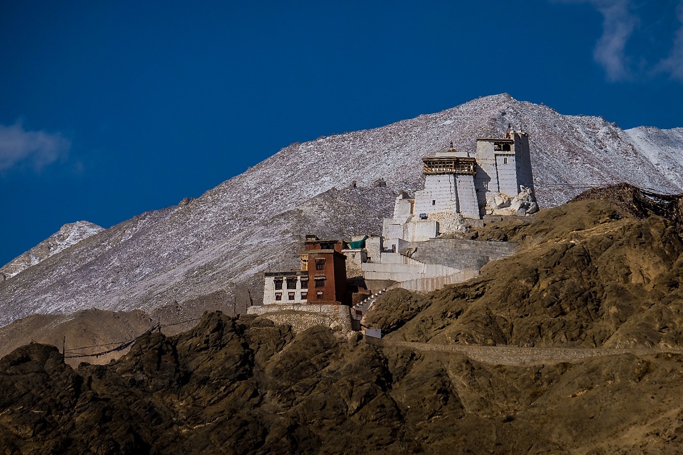 Tsemo Maitreya Temple, Leh