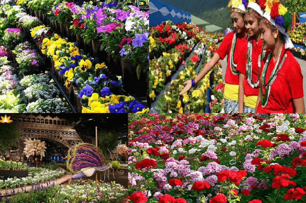 International Flower Festival in Sikkim