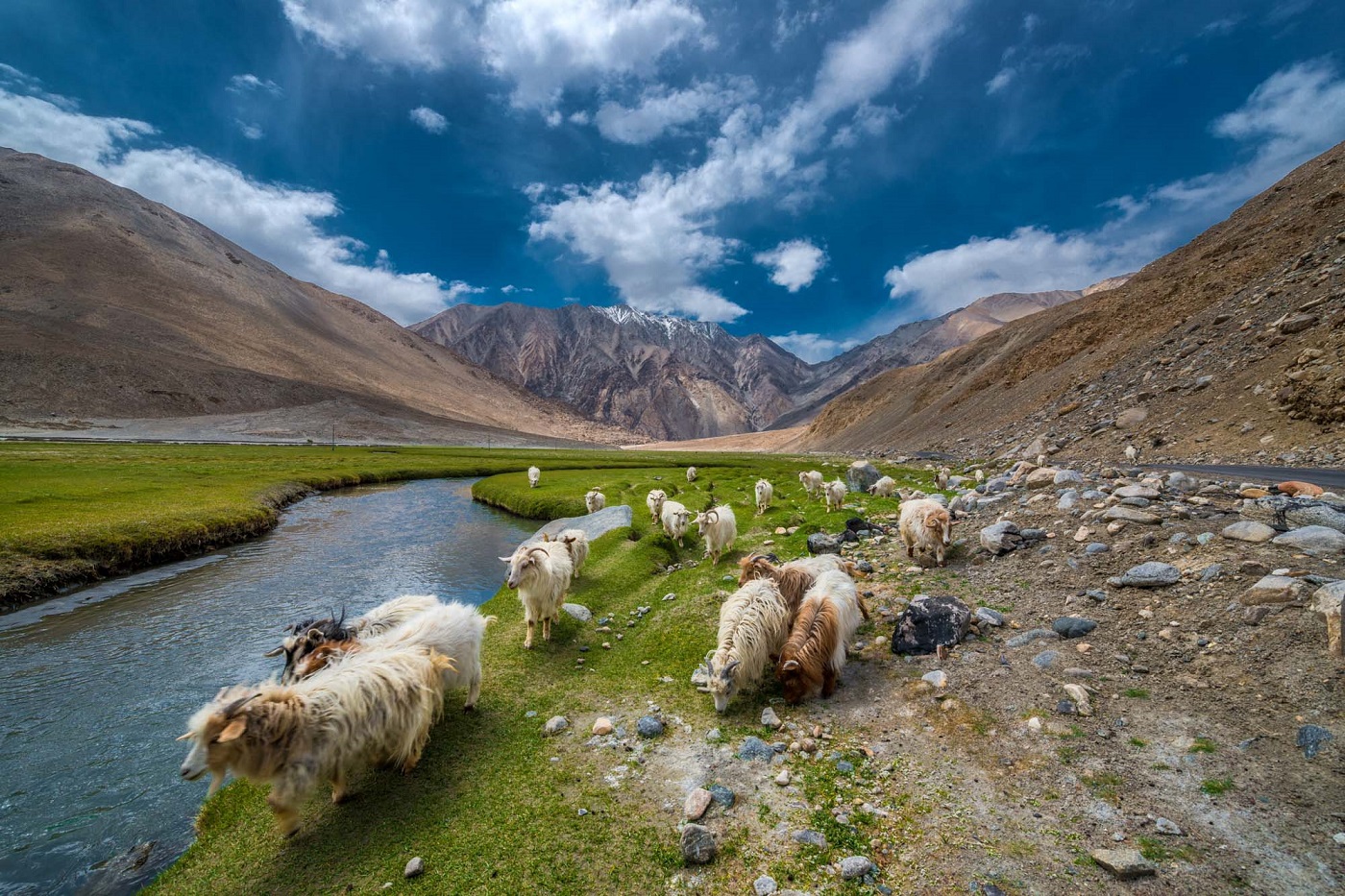 Leh Ladakh in June