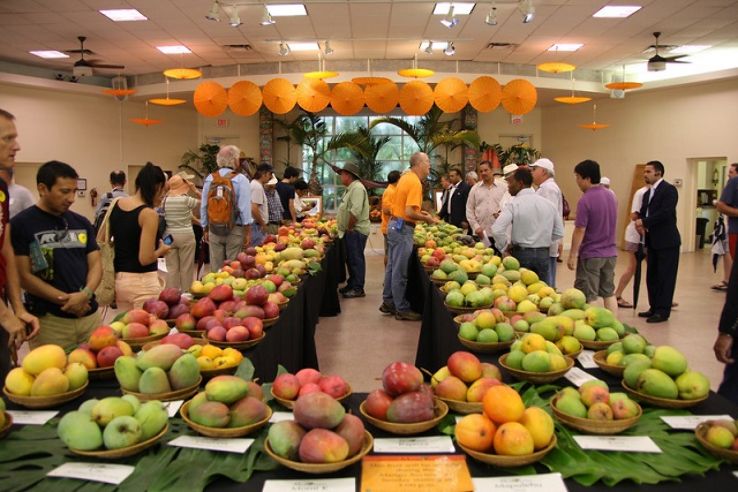 International Mango Festival