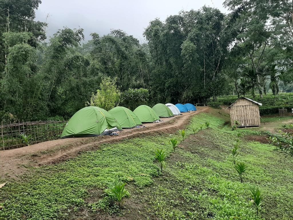 Camping in Assam