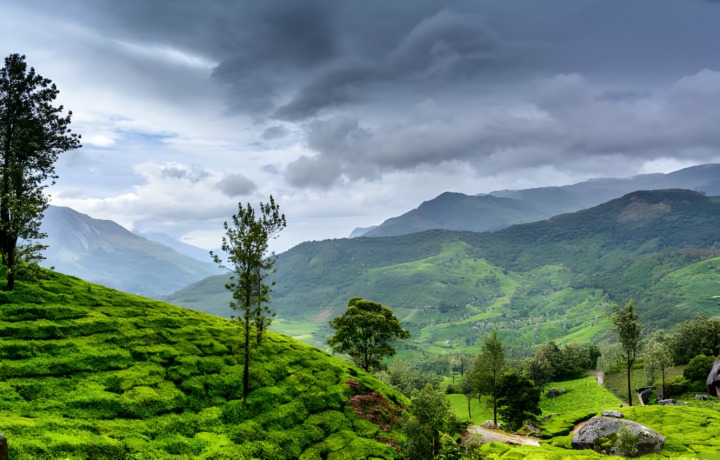 Places to visit in Wayanad‌