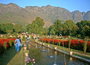 Top 16 Most Beautiful Gardens In India
