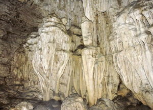 Limestones Caves, Baratang Island