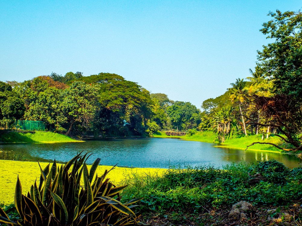 Botanical Garden Kolkata