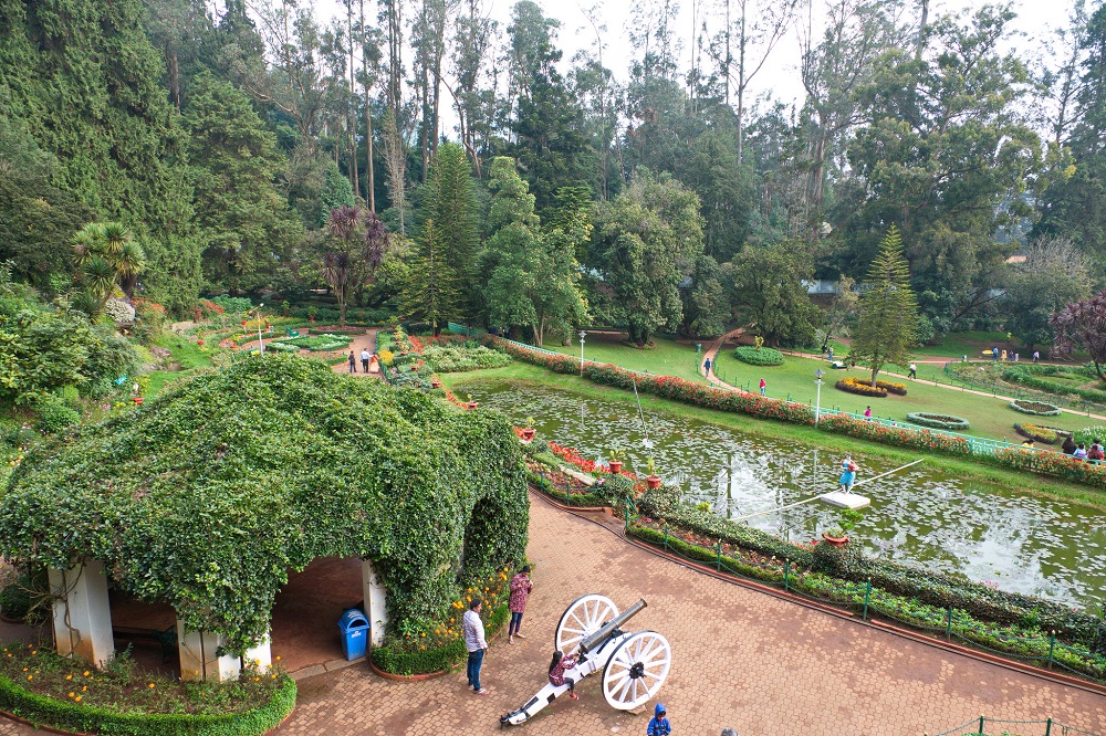 Government Botanical Garden Ooty Tamilnadu